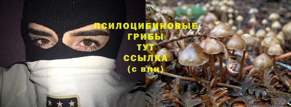 мяу мяу мука Зерноград